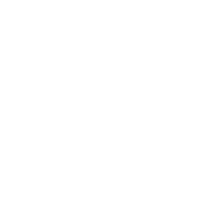 Leebastar Logo